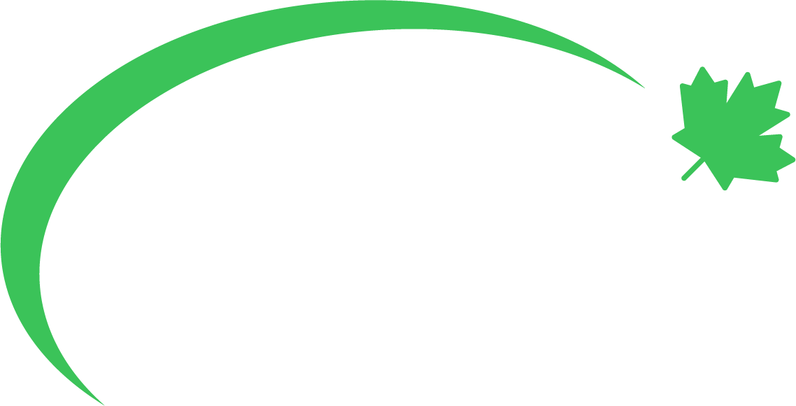TLC International